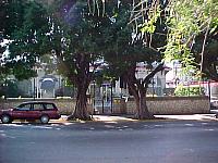 Havana2